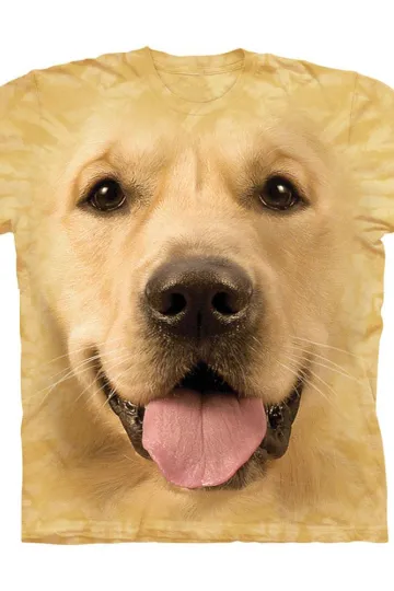https://img.kakaclo.com/image%2FDM046606%2FDM046606_yellow_S%2Fcmy09qz41648083481.png