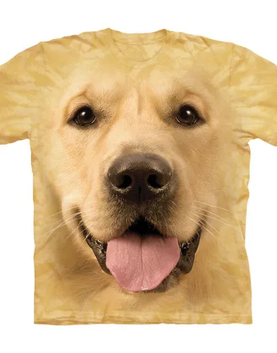 https://img.kakaclo.com/image%2FDM046606%2FDM046606_yellow_S%2Fcmy09qz41648083481.png